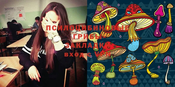 таблы Алексеевка