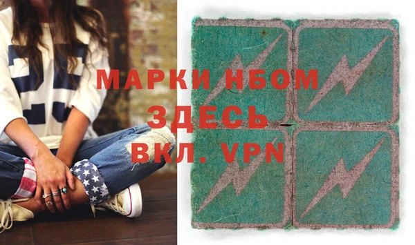 хмурый Алзамай