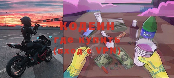 хмурый Алзамай