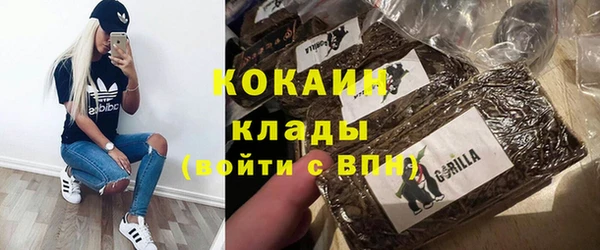 хмурый Алзамай