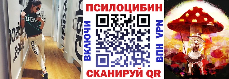 Псилоцибиновые грибы мухоморы  где найти наркотики  Опочка 