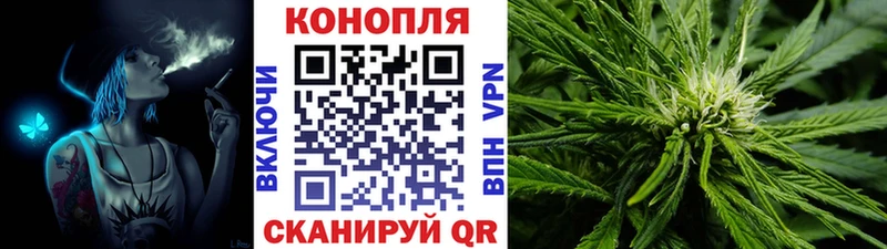 купить   Опочка  Бошки Шишки SATIVA & INDICA 